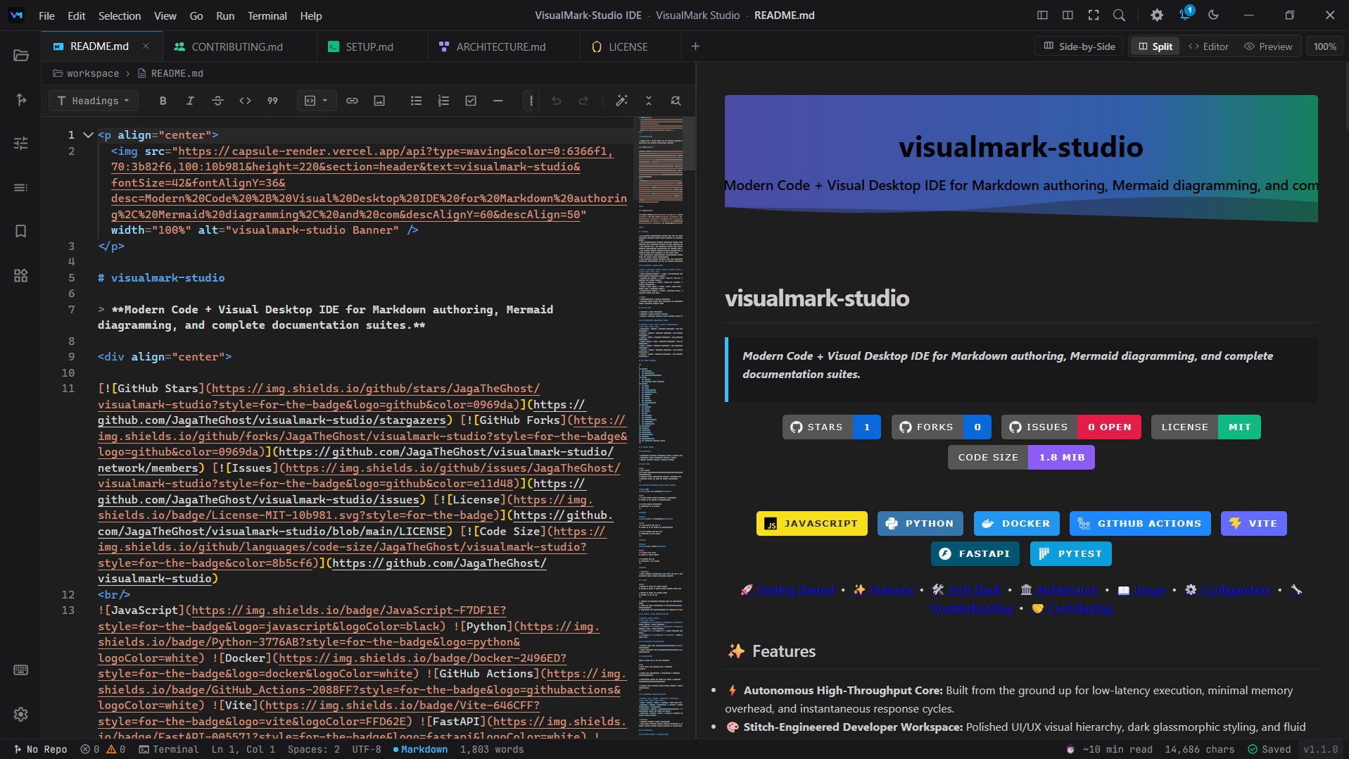 VisualMark Studio Workspace View